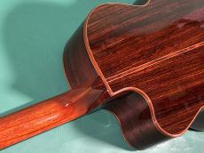 LINDA MANZER The Manzer Cutaway_9