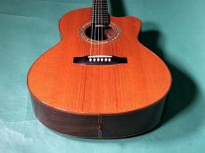 LINDA MANZER The Manzer Cutaway_10