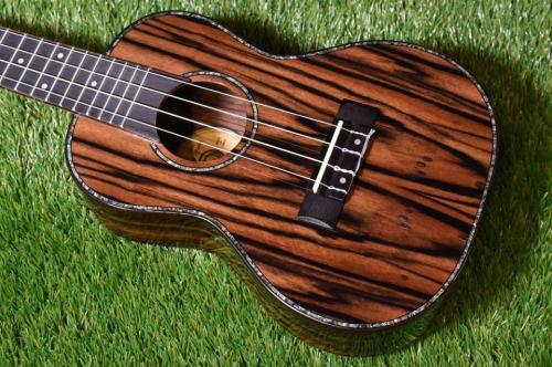 DCT DUC-800 Concert
