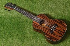 DCT DUC-800 Concert_3