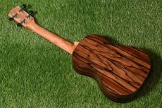 DCT DUC-800 Concert_4