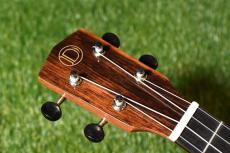 DCT DUC-800 Concert_5
