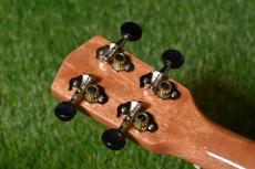DCT DUC-800 Concert_6