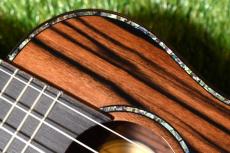DCT DUC-800 Concert_9