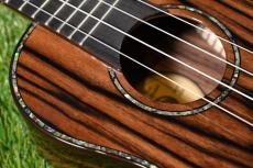 DCT DUC-800 Concert_10
