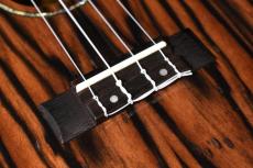 DCT DUC-800 Concert_11