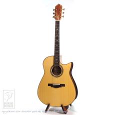 Somogyi Modified D Cutaway_2