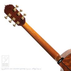 Somogyi Modified D Cutaway_10