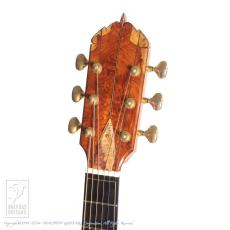 Somogyi Modified D Cutaway_11