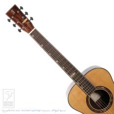 Fonzo Guitar V201S MINI_9