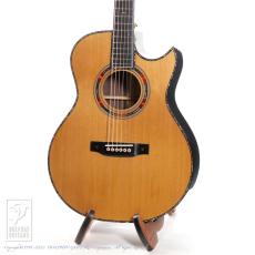Fonzo Guitar V34C SJ FC