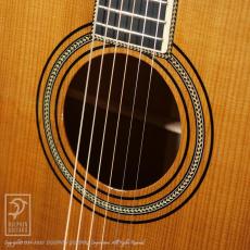 Fonzo Guitar V31C OM_7