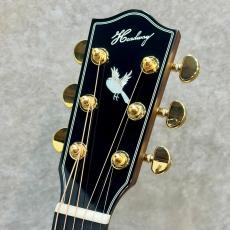 Headway HOC-NORTHBIRD【杢目の美しいフレイムドマホガニー】【JTシリーズ】_3