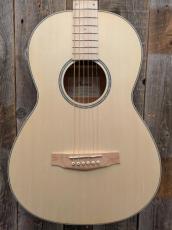 Ibanez PN29E 【エレアコ】