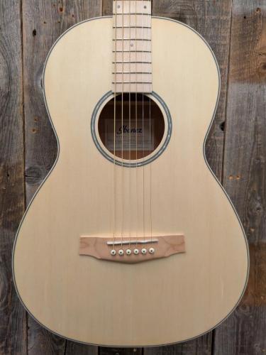 Ibanez PN29E 【エレアコ】