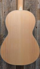 Ibanez PN29E 【エレアコ】_3