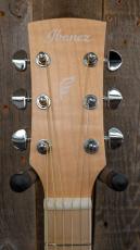 Ibanez PN29E 【エレアコ】_5