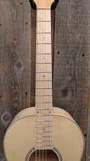 Ibanez PN29E 【エレアコ】_6