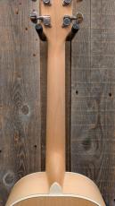 Ibanez PN29E 【エレアコ】_8