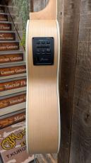 Ibanez PN29E 【エレアコ】_9