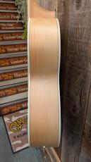 Ibanez PN29E 【エレアコ】_10