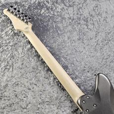 SCHECTER AR-06 FR-KC -Gunmetal Black- 【特注仕様&特注カラー】_6