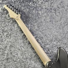 SCHECTER AR-06 FR-KC -Gunmetal Black- 【特注仕様&特注カラー】_6