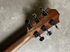 Furch Guitars Blue Gc-SW a_10