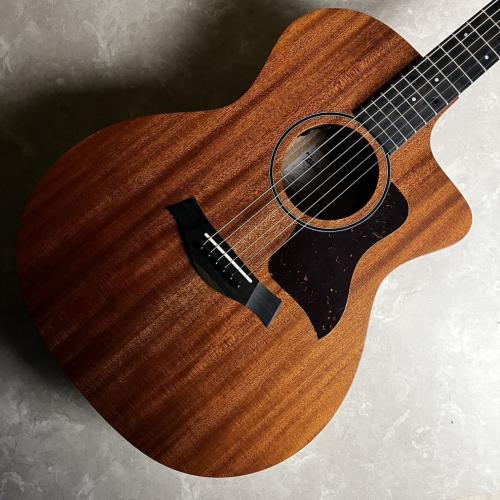 Taylor 24ce