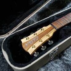 Cole Clark Talisman II_5