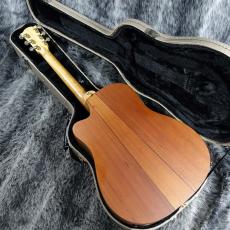 Cole Clark Talisman II_6