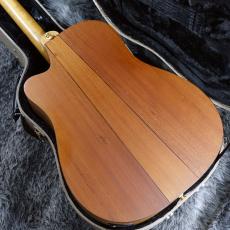 Cole Clark Talisman II_7