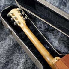 Cole Clark Talisman II_8