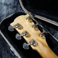 Cole Clark Talisman II_9