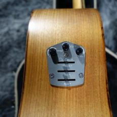 Cole Clark Talisman II_10