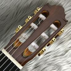 VICENTE CARRILLO Primera Especial　松 / マダガスカルローズ_4