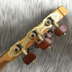 VICENTE CARRILLO Primera Especial　松 / マダガスカルローズ_5