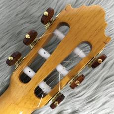 VICENTE CARRILLO Primera Especial　松 / マダガスカルローズ_9