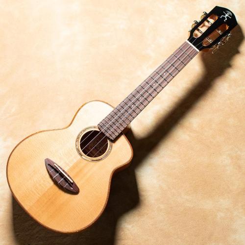 aNueNue aNN-UC100【お取り寄せ商品】