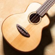 aNueNue aNN-UC100【お取り寄せ商品】_2