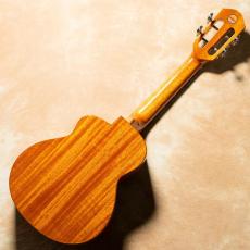 aNueNue aNN-UC100【お取り寄せ商品】_4