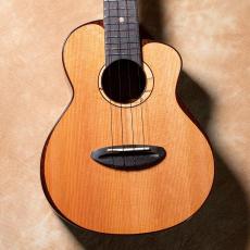 aNueNue aNN-UC214 Cedar Bird Concert【お取り寄せ商品】_2