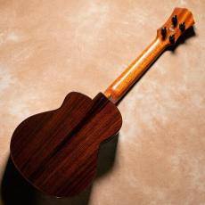 aNueNue aNN-UC214 Cedar Bird Concert【お取り寄せ商品】_5