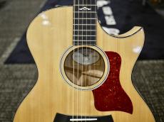 Taylor 【年末直前セール】Custom GAce   2016年製【USED】【カスタムモデル】【外観動画】【48回無金利】_2