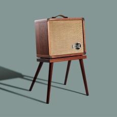 Taylor Circa 74 Amp - Mahogany【アコースティックアンプ最新モデル・スタンド付】_4