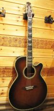 Takamine DSP530 【2004年製】_2