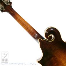 Noar (NAO MANDOLIN) N-7_6