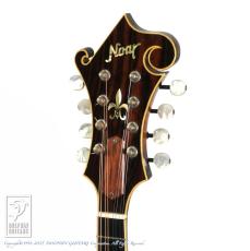 Noar (NAO MANDOLIN) N-7_7