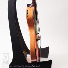 Jersey Girl Audrey Jena_5