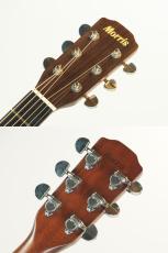 Morris M-60(管理番号4905)_6